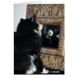 Mr. Bootee, thru the Looking Glass Cards
