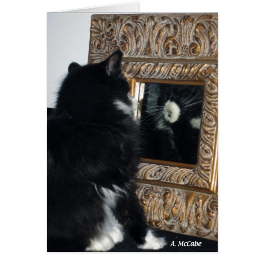 Mr. Bootee, thru the Looking Glass Cards (Front)
