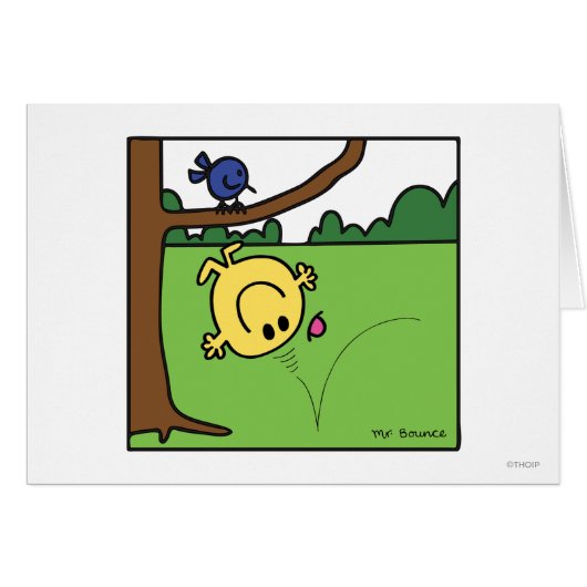 Mr. Bounce In The Park (Front Horizontal)