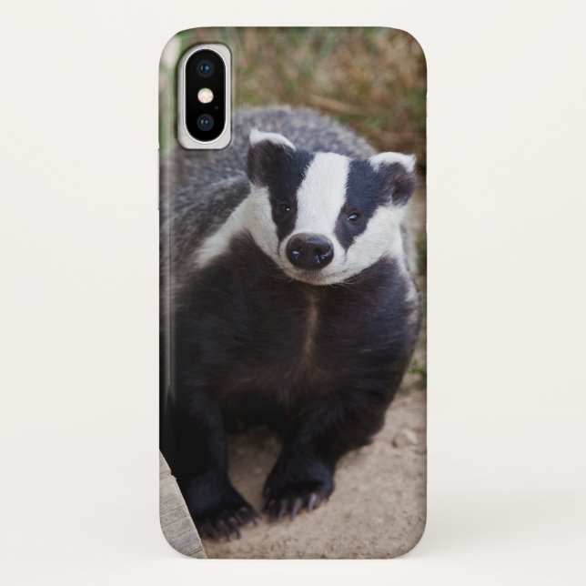 Mr Brock iPhone X Case (Back)