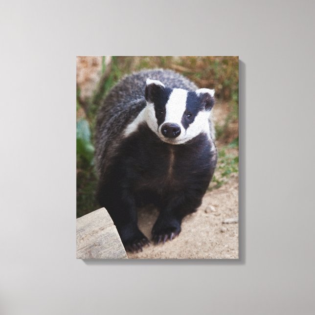 Mr Brock Wrapped Canvas Print (Front)