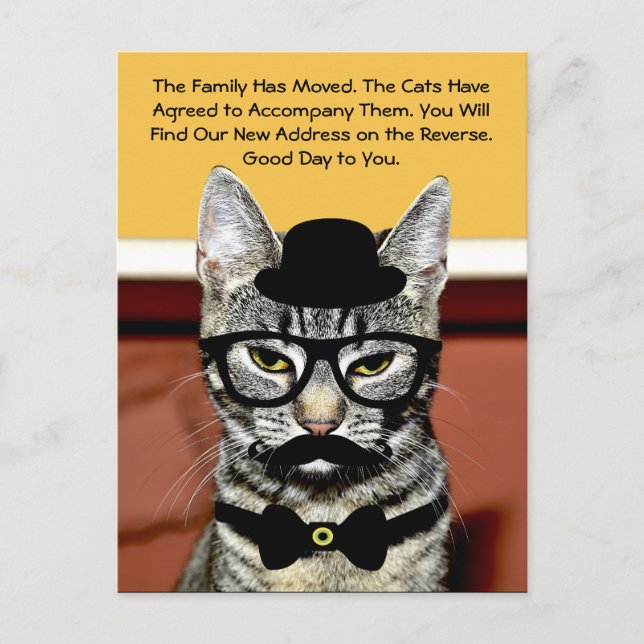Mr. Cat Announces Move with New Address Announcement Postcard (Front)