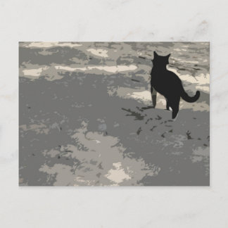 Mr. Cat Postcard 010