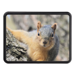 Mr.Cutie Hitch Cover