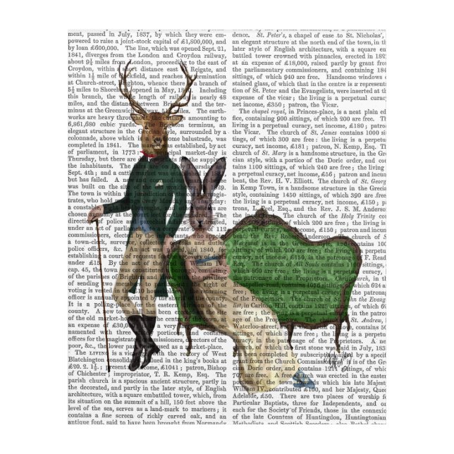 Mr Deer and Mrs Rabbit Acrylic Print (Front)