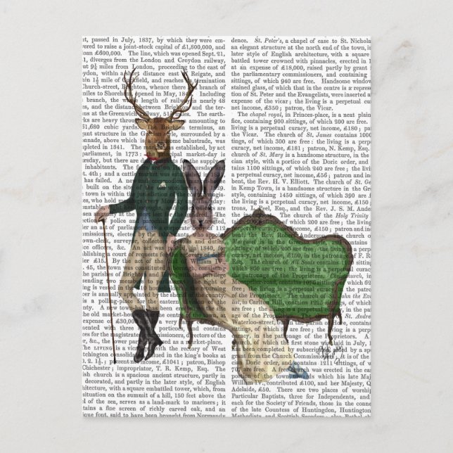 Mr Deer and Mrs Rabbit Postcard (Front)