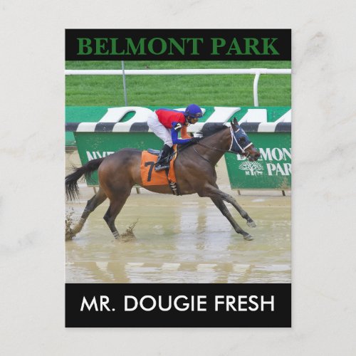 Mr Dougie Fresh Postcard
