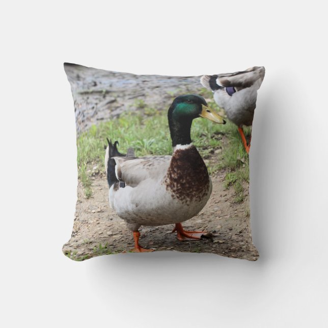 Mr. Duck Throw Pillow (Front)