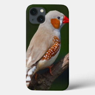 Mr Finch iPad Case
