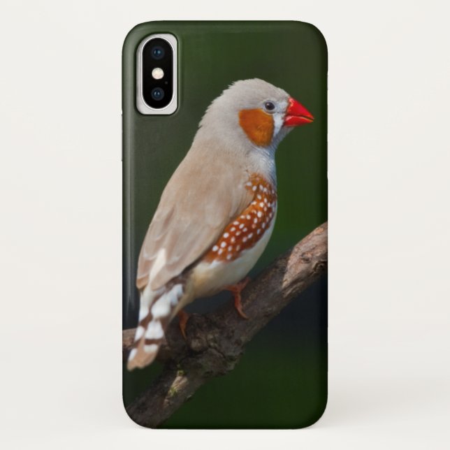 Mr Finch iPhone X Case (Back)