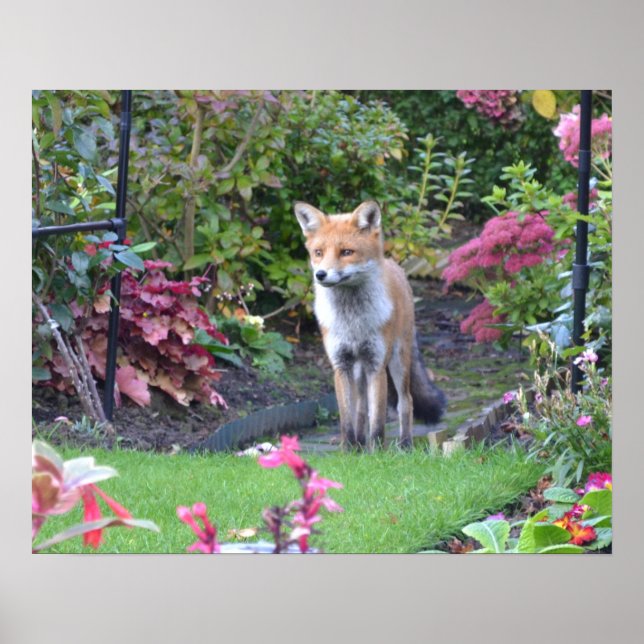 Mr Fox Poster (Front)
