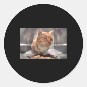 Mr Fresh Cat Meme Side Eye Cat  Classic Round Sticker