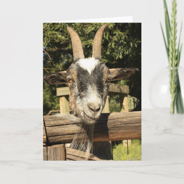 Mr. Goat Card (Front)