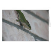 Mr Green Lizard (Front Horizontal)