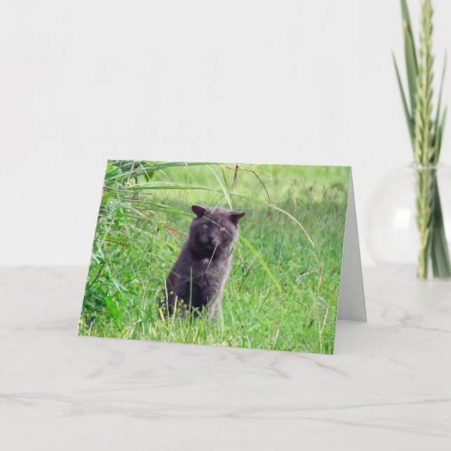 Mr. Grey's Greeting Card (Front)