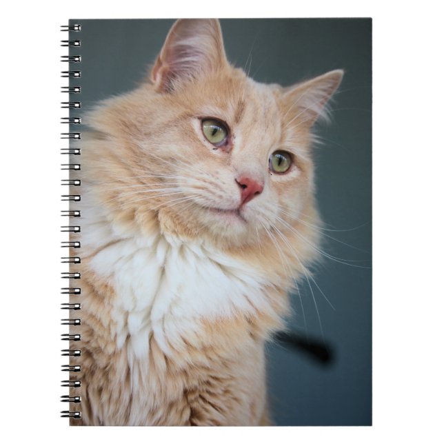 Mr. Handsome Notebook (Front)