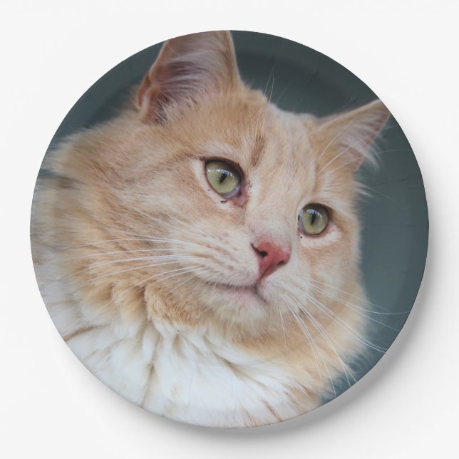 Mr. Handsome Paper Plates (Front)