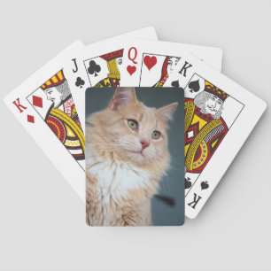 Mr. Handsome Poker Cards