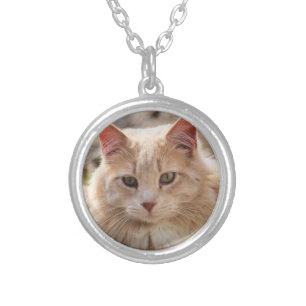 Mr. Handsome Silver Plated Necklace