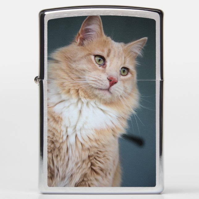 Mr. Handsome Zippo Lighter (Front)