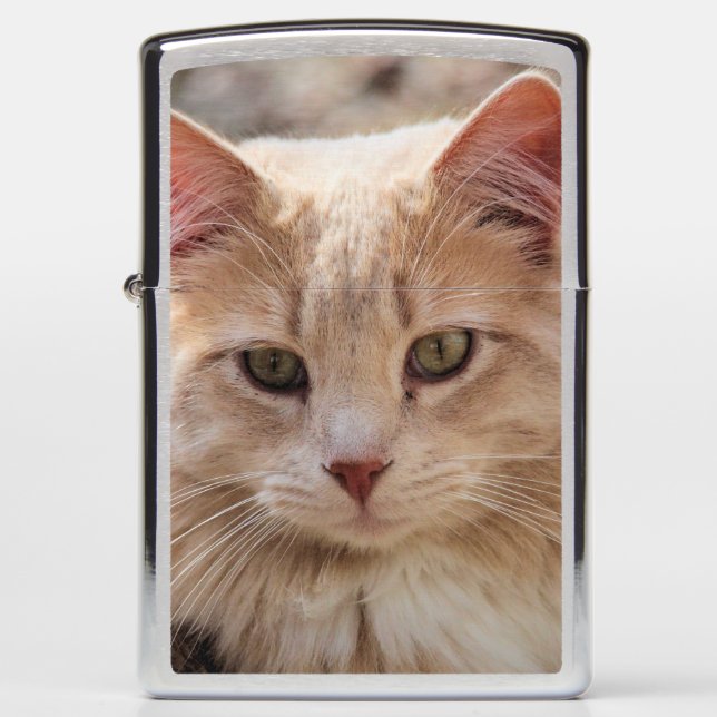 Mr. Handsome Zippo Lighter (Front)