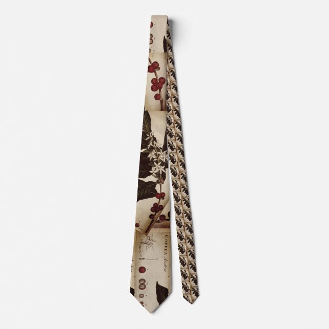 Mr. Hooton Coffee Botanical Neck Tie (Front)