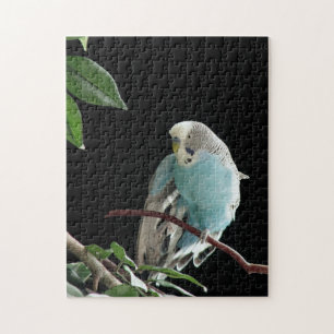Mr. Jill Budgie Puzzle