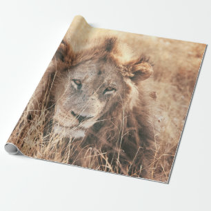 MR LION KING WRAPPING PAPER