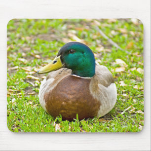 Mr. Mallard the Duck Mouse Pad