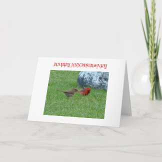 Mr. & Mrs. Cardinal, HAPPY ANNIVERSARY Card