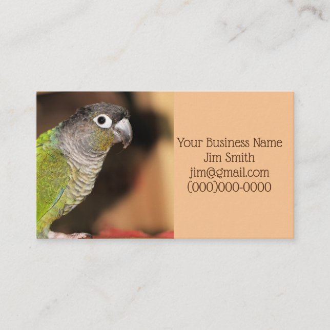 Mr. Oliver Business Card (Front)