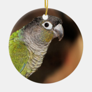 Mr. Oliver Ceramic Ornament