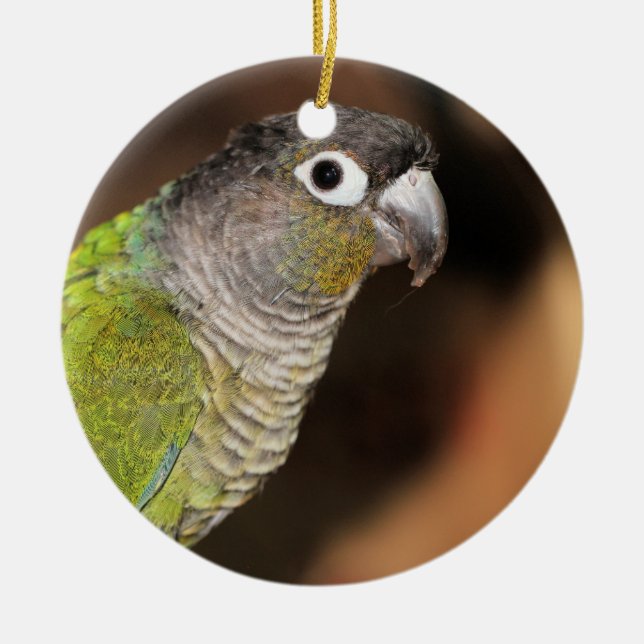 Mr. Oliver Ceramic Ornament (Front)