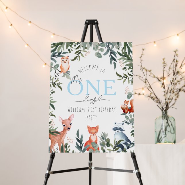 Mr Onederful | Baby's First Birthday Sign (In Situ (Stand))
