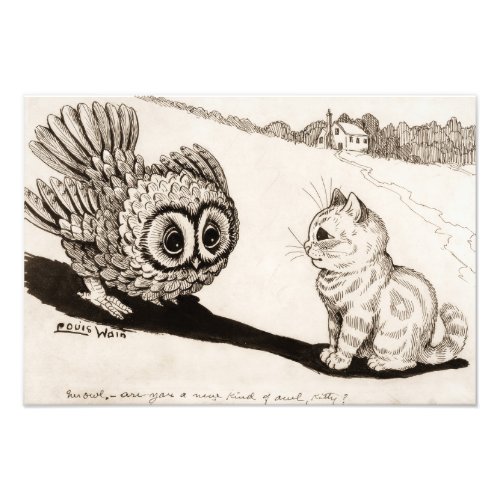 Mr Owl _ Are You a New Kind of Owl Kitty Photo Print