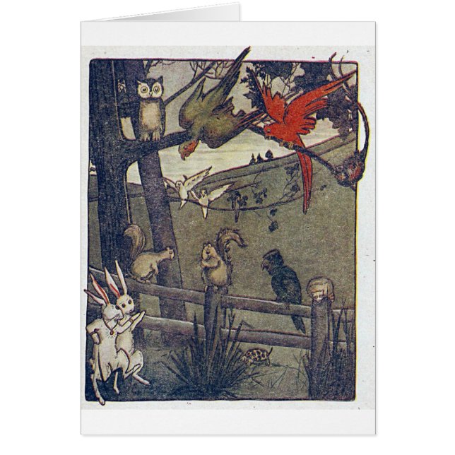 Mr Owl Gives A Party Cards (Front)