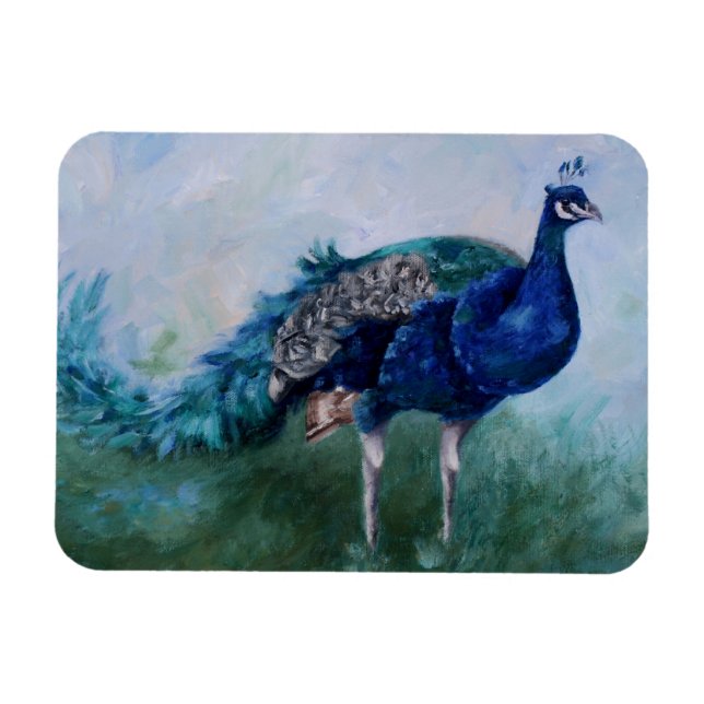 Mr. Peacock Magnet (Horizontal)