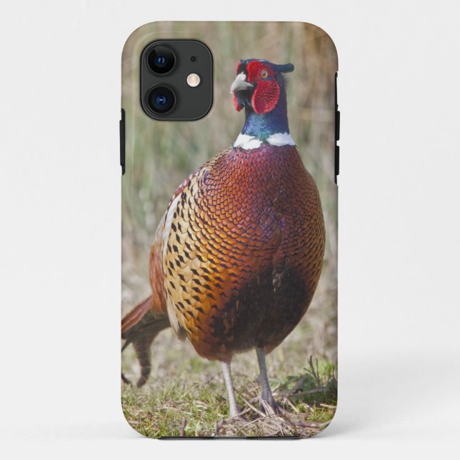 Mr Pheasant iPhone 5 Case-Mate Case (Back)