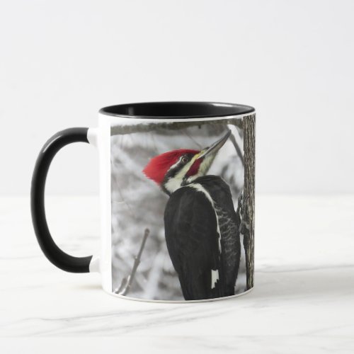Mr Pileated Woodpecker Bird Mug