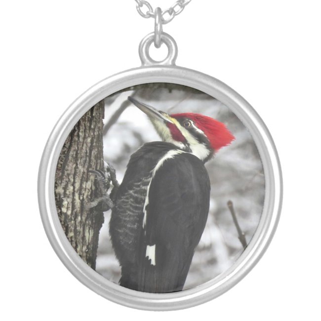 Mr. Pileated Woodpecker Bird Necklace