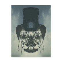 Mr Pug on a Card