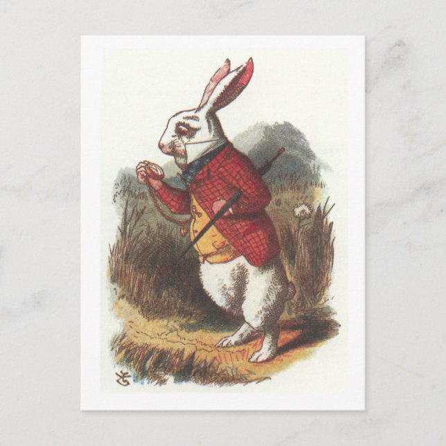 Mr Rabbit! Postcard (Front)