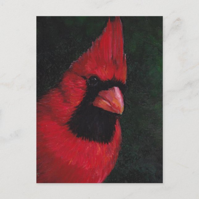 Mr. Red Cardinal Bird Art Postcard (Front)