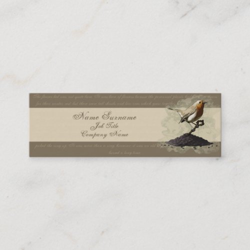 Mr Robin Finds the Key business card template