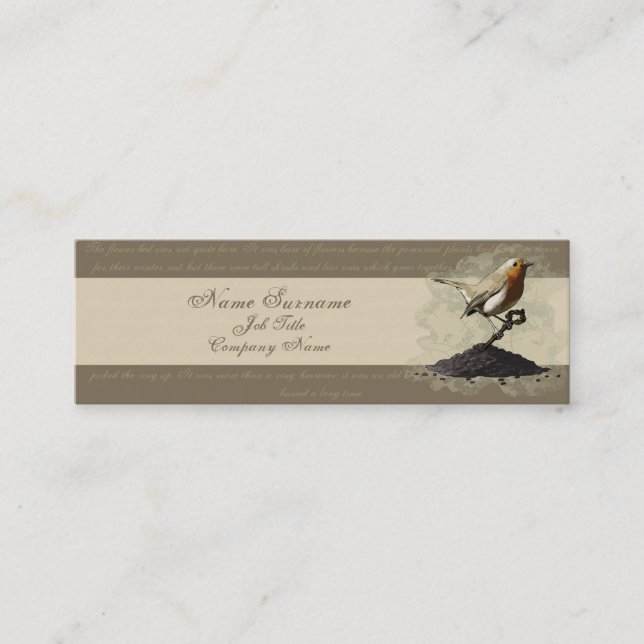 Mr. Robin Finds the Key, business card template (Front)