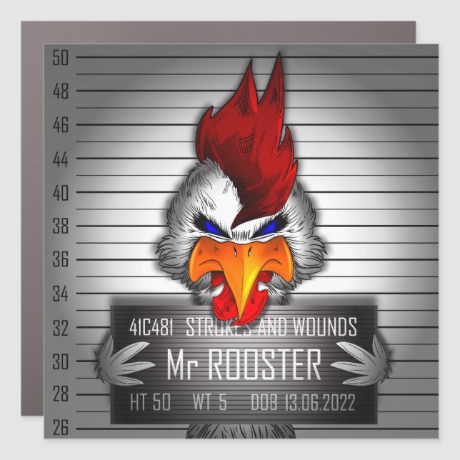 Mr Rooster Car Magnet (Front)