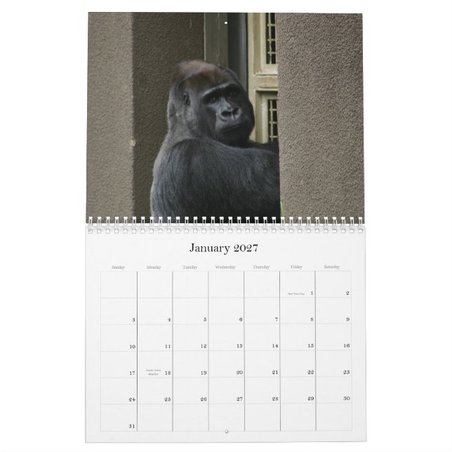 Mr Silverback Calendar (Jan 2027)