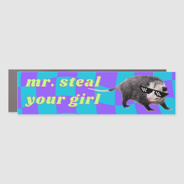 Mr. Steal Your Girl Funny Meme Cool Possum Car Magnet (Front)