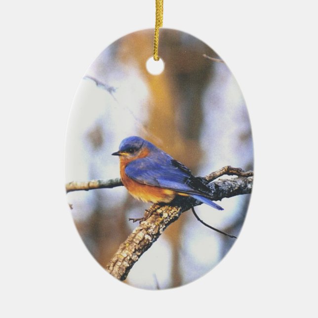 mr truman ceramic ornament (Front)