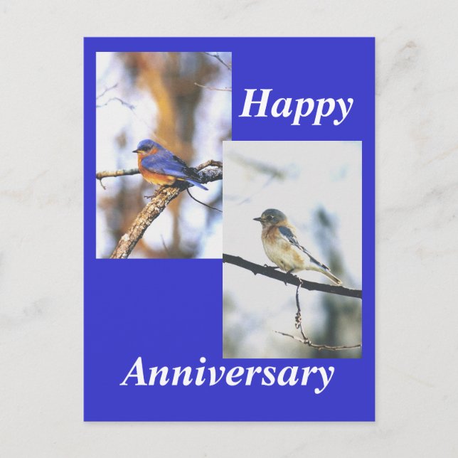 mr truman, mrs truman, Happy , Anniversary Postcard (Front)